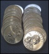 2009-D Native American Dollar