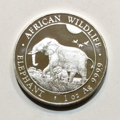 2022 Somalia Elephant 1oz .9999 Silver